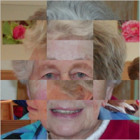 Some Fragments of my Mum image